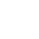 icon-fast-technician